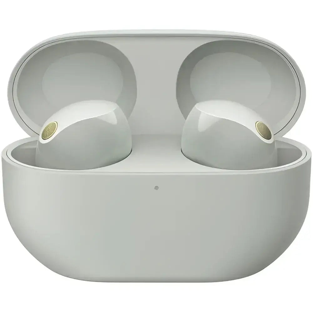 Sony WF-1000XM5 Noise-Canceling True Wireless In-Ear Headphones (Silver) image 0